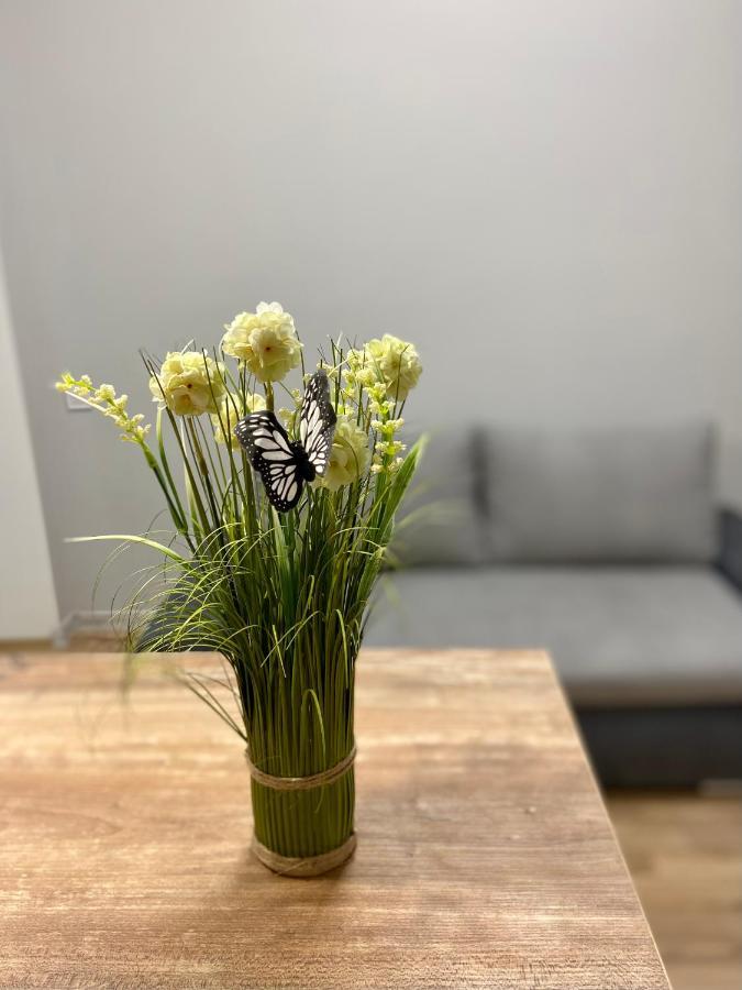 Nalyvaika Lviv Apartments المظهر الخارجي الصورة